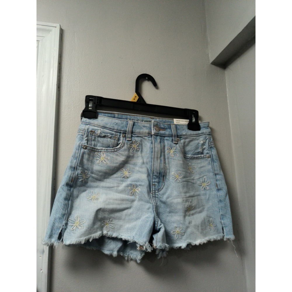 American Eagle Mom Daisy Floral Embroidered High Rise Denim Shorts Sz 00/24 New